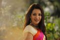 Aruvam Movie Actress Catherine Tresa Images HD