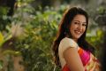 Aruvam Movie Actress Catherine Tresa Images HD