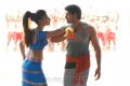 Arya Amala Paul Hot Stills in Vettai