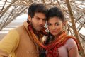 Vettai Arya Amala Paul Hot Pics