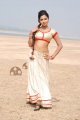 Amala Paul Hot in Vettai Movie Stills