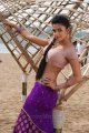 Amala Paul Hot in Vettai Movie Stills