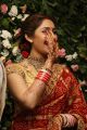 Sayyeshaa Saigal Marriage Reception Photos HD