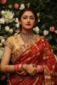 Sayyeshaa Saigal Marriage Reception Photos HD