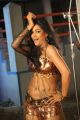 Actress Mumaith Khan in Arya Surya Movie Stills