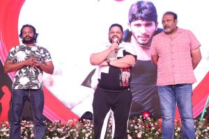 Arya 20 Years Celebrations Photos