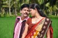 Asalem Jarigindante Telugu Movie Hot Stills