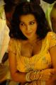 Actress Asha Saini Hot Spicy Stills