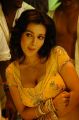 Actress Asha Saini Hot Spicy Stills