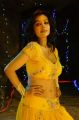 Actress Asha Saini Spicy Hot Stills