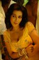 Telugu Actress Asha Saini Spicy Hot Pictures