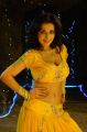 Actress Asha Saini Hot Spicy Stills