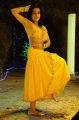 Telugu Actress Asha Saini Spicy Hot Stills