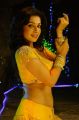 Actress Asha Saini Spicy Hot Stills