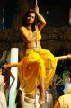 Telugu Actress Asha Saini Spicy Hot Pictures