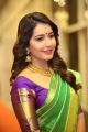 Actress Raashi Khanna in Bridal Saree Photos @ Srinivasa Kalyanam Audio Launch