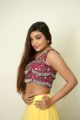 Actress Ashi Roy Hot Images @ KS 100 Release Poster Launch