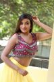 Actress Ashi Roy Hot Images @ KS 100 Release Poster Launch