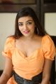 Telugu Actress Ashi Roy Stills at KS 100 Movie Interview