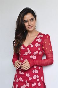 Naa Saami Ranga Actress Ashika Ranganath Images