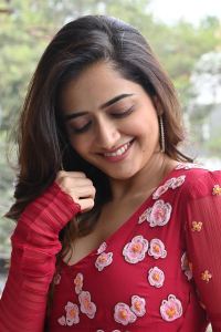 Naa Saami Ranga Heroine Ashika Ranganath Images