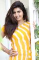 Telugu Actress Ashima Narwal Latest Pics