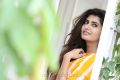 Actress Ashima Narwal Latest Pics