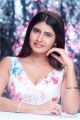 Actress Ashima Narwal Photoshoot Images HD