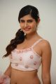 Actress Ashima Narwal Pics @ SIIMA Awards 2019 Press Meet