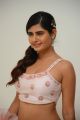 Actress Ashima Narwal Pics @ SIIMA Awards 2019 Curtain Raiser