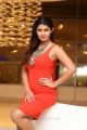 Actress Ashima Narwal Red Dress Images @ Killer Movie Pre Release