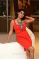 Killer Movie Actress Ashima Narwal Red Dress Images