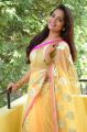 Telugu Actress Ashwini Hot Saree Pics