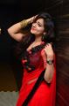 Telugu Actress Ashwini Hot Red Saree Images