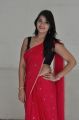 Actress Ashwini Hot Stills in Red Saree