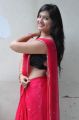 Actress Ashwi Hot Stills in Red Saree