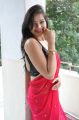 Actress Ashwini Hot in Red Saree Stills