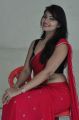 Actress Ashwini Hot in Red Saree Stills