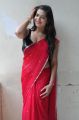 Actress Ashwini Hot Stills in Red Saree