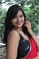 Telugu Actress Ashwini Hot in Red Saree Stills