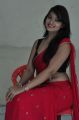 Actress Ashwini Hot Stills in Red Saree