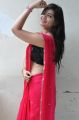 Actress Ashwini Hot Stills in Red Saree