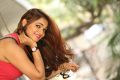 Telugu Actress Ashwini Wallpapers