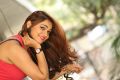 Telugu Actress Ashwini Wallpapers