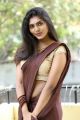 Actress Aslesha Varma Hot Saree Stills @ Sahacharudu Audio Launch