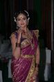 Actress Asmita Sood Photos at Aadu Magadraa Bujji Logo Launch