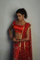 Model Asmita Sood New Hot Pics