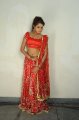 Model Asmita Sood New Hot Pics