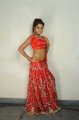 Model Asmita Sood New Hot Pics