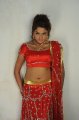 Model Asmita Sood New Hot Pics
